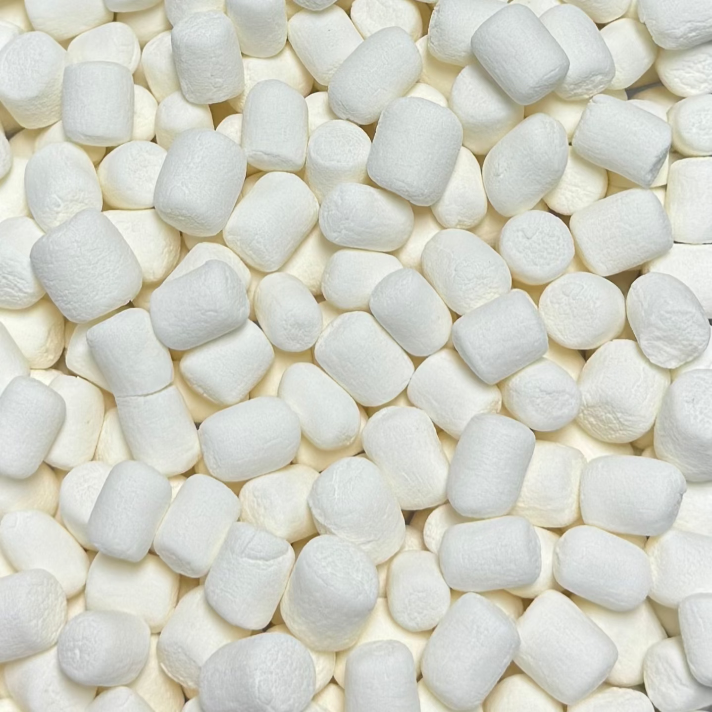 Freeze-Dried Marshmallows